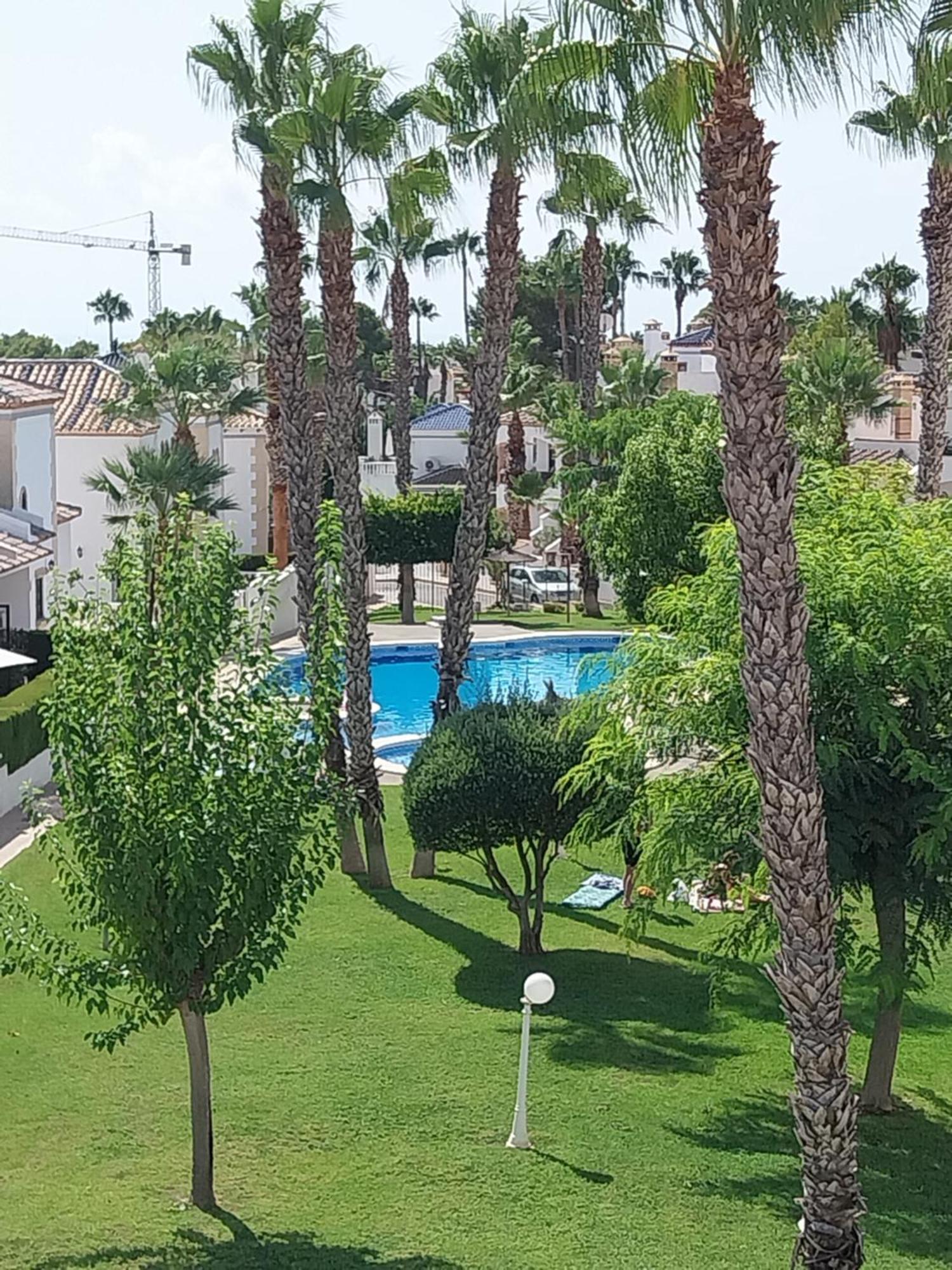Charming Apartment In Front Of Villamartin Golf And Plaza エクステリア 写真