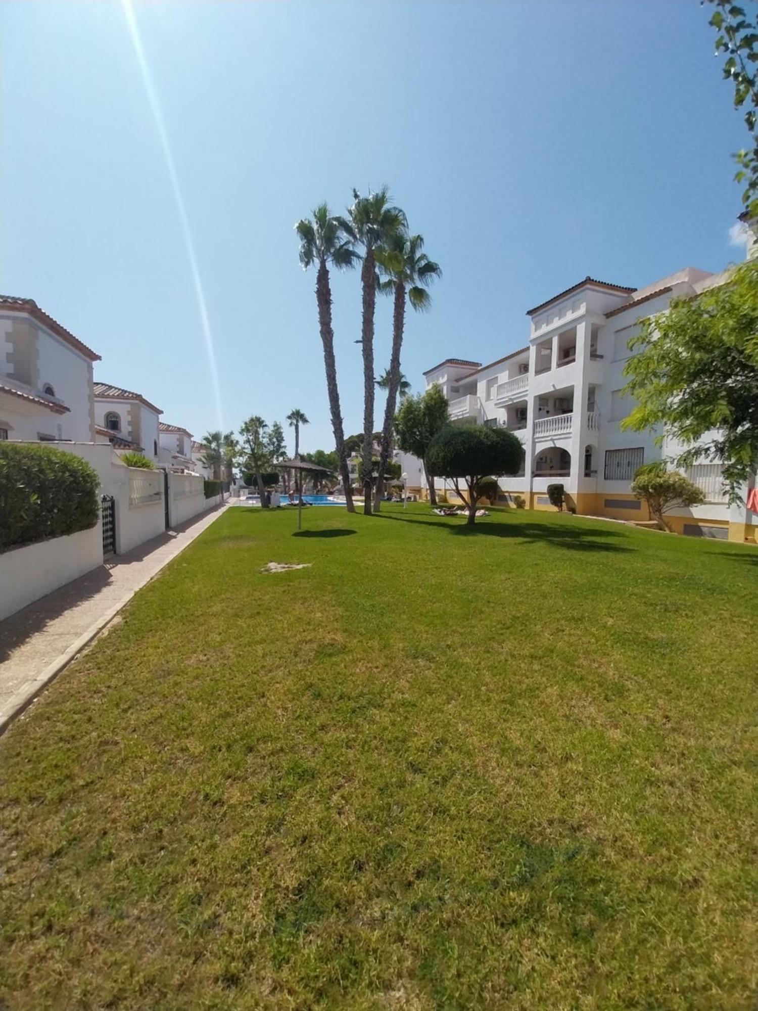 Charming Apartment In Front Of Villamartin Golf And Plaza エクステリア 写真