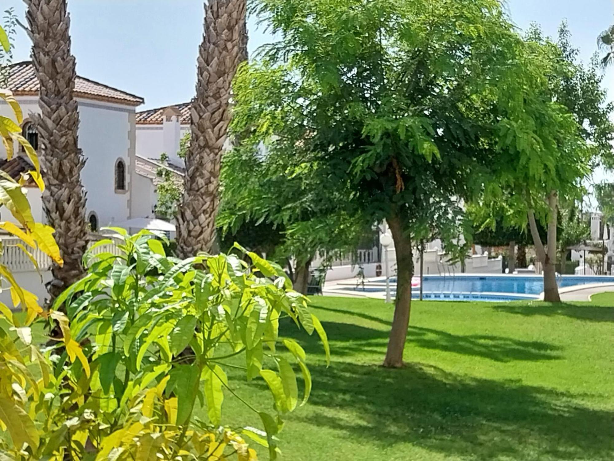 Charming Apartment In Front Of Villamartin Golf And Plaza エクステリア 写真