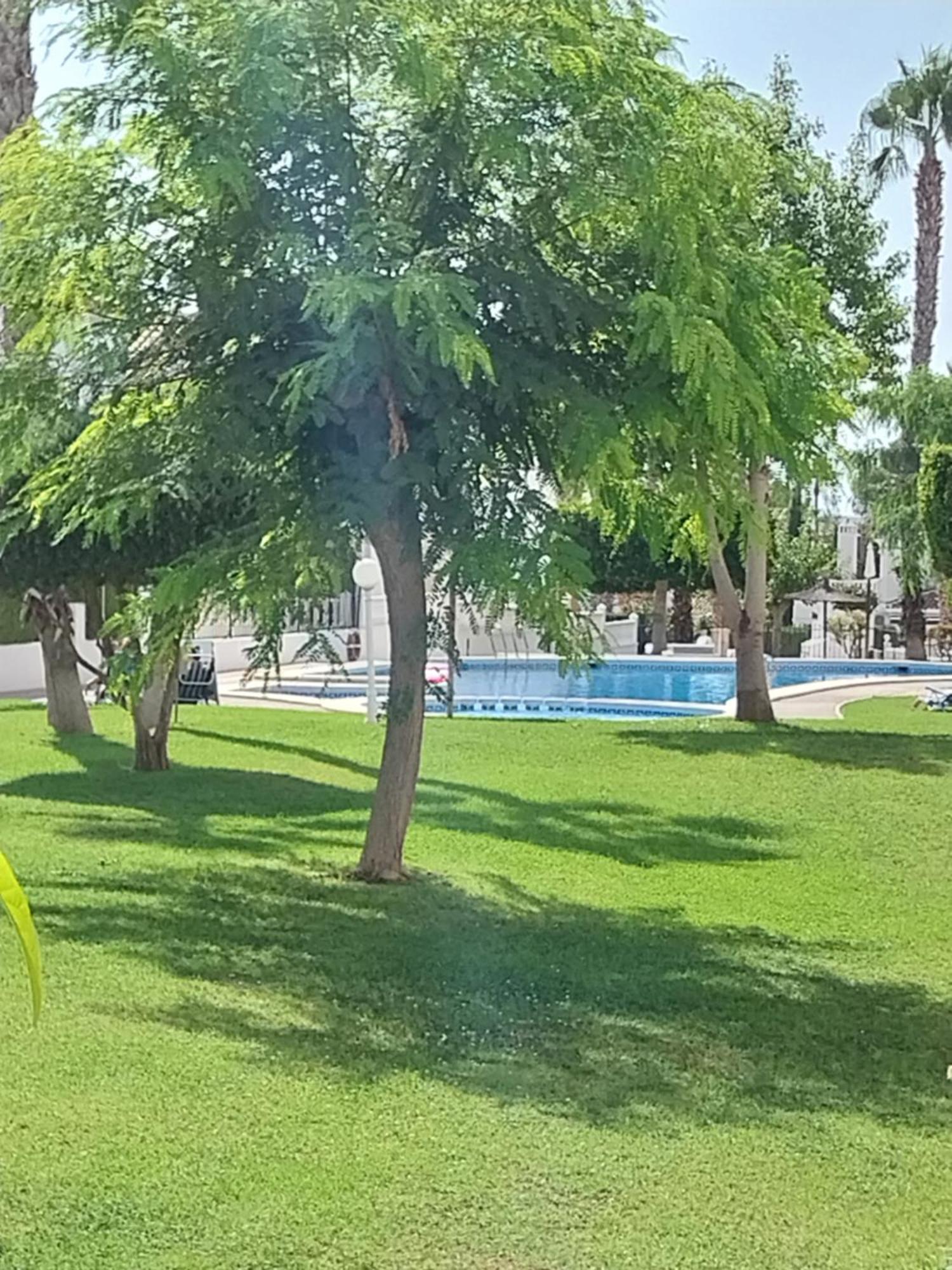 Charming Apartment In Front Of Villamartin Golf And Plaza エクステリア 写真